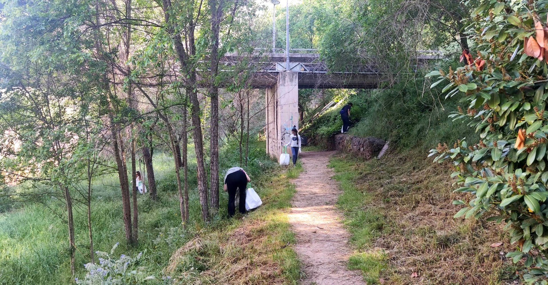 Serveis d'educació ambiental a Ajuntaments i organismes públics - Vincle Ambiental