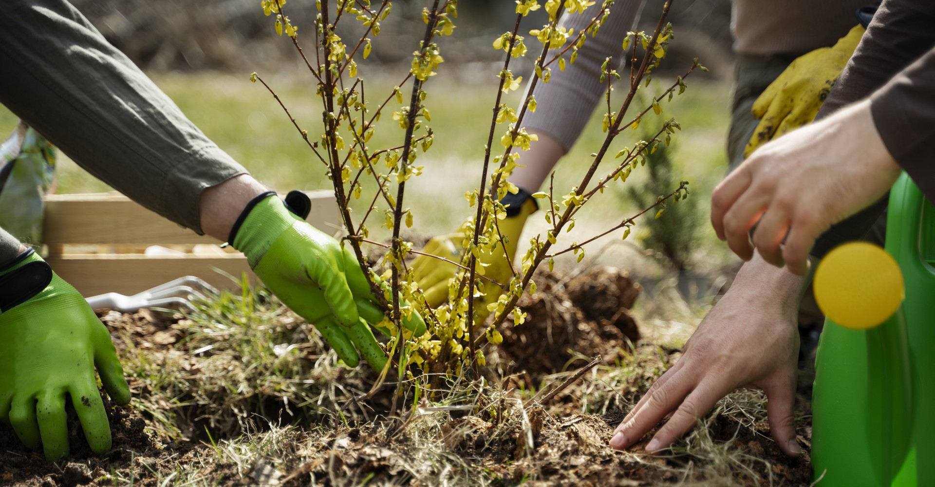 Valors empresa consultoria ambiental - Proximitat, experiència, compromís Eco